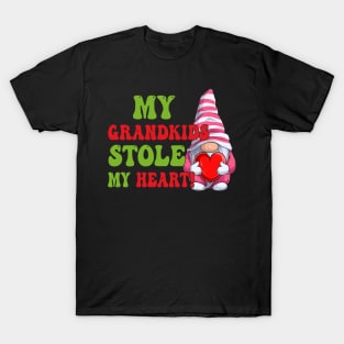 Gnome My Grandkids Stole My Heart T-Shirt